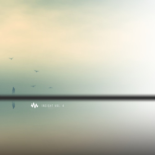 Insight Vol.4