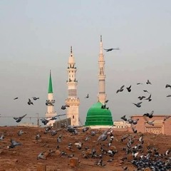 بيكر دل ربا بن