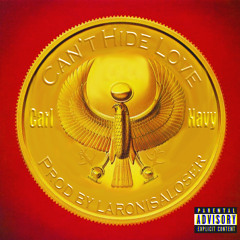 Can't Hide Love (Prod. Laronisaloser)