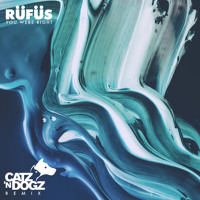 RÜFÜS - You Were Right (Catz N Dogz Remix)