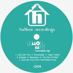 Lemon Mint - Just Like You (Original Mix) [HR004]