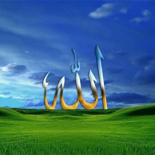 الفاتحة .تامر تيمور
