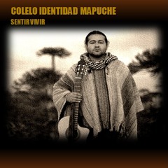 Colelo Identidad Mapuche - SENTIR VIVIR (2015) - 08. En Una Ciudad Del Cielo