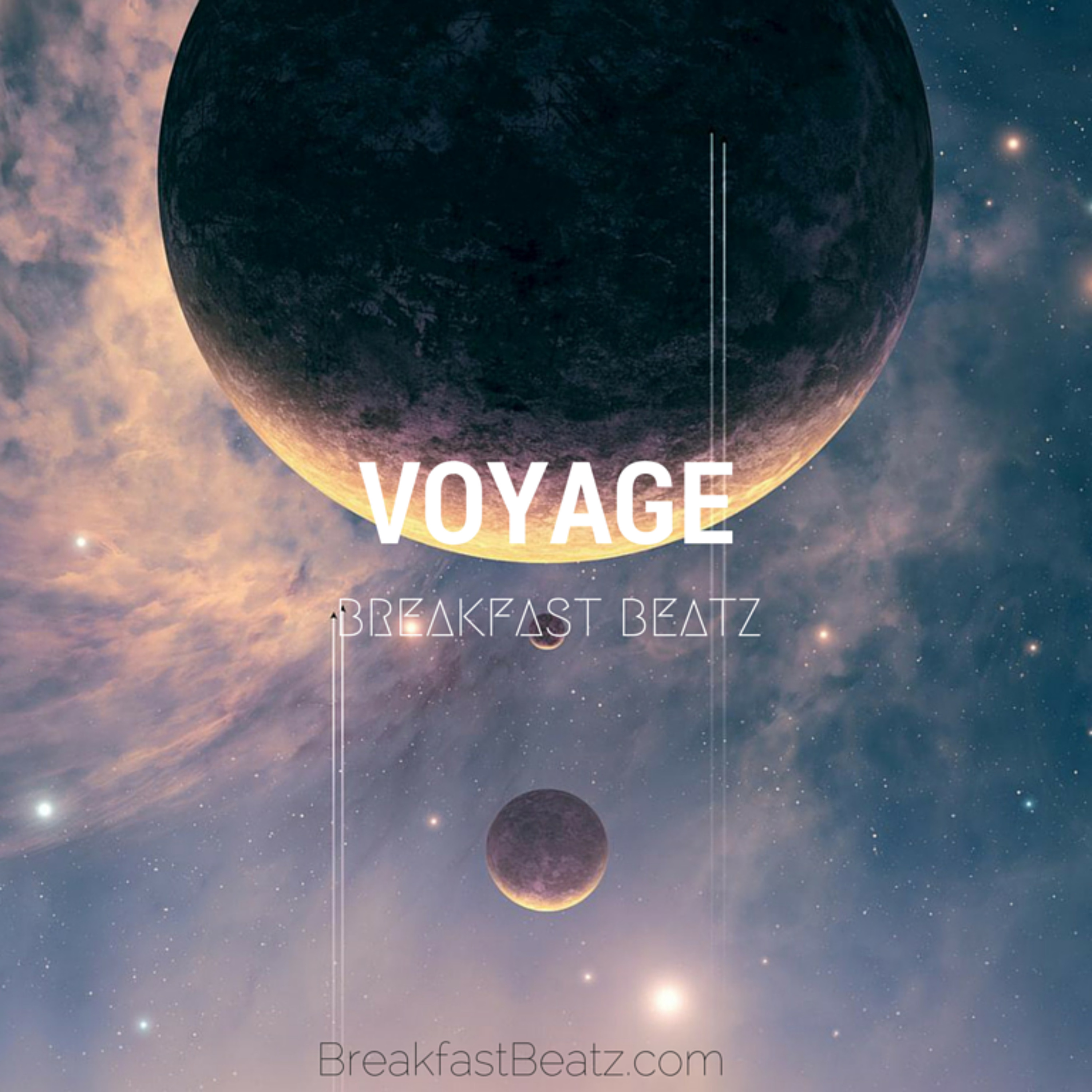 Voyage episode artwork