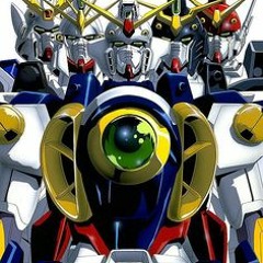 Signs Of Consciousness