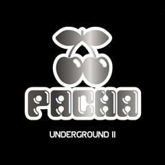 Morttagua & Charles Lima - In Love With You (Davina Remix) PACHA Underground Vol. 02 [Warner]
