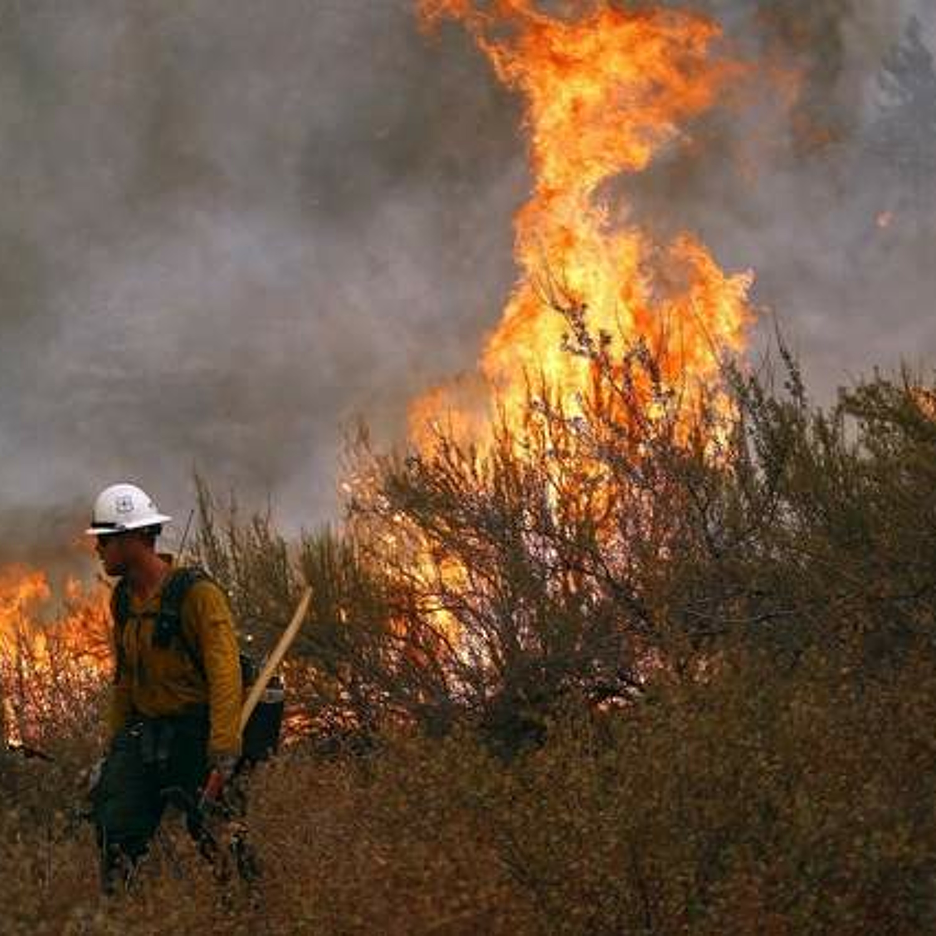 Wildfire claims apple packing plant. Ag Min for Aug 18, 2015