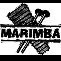 Flauta y Marimba.1