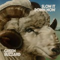 Green&#x20;Buzzard Slow&#x20;It&#x20;Down&#x20;Now Artwork