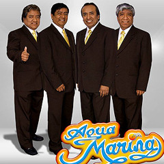 Agua Marina - Cenizas