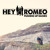 Artwork for Hey Romeo - Pushing Up Daisies