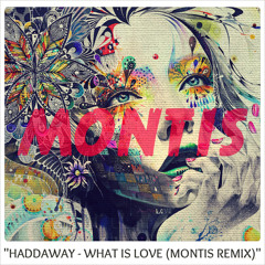 Haddaway - What Is Love (Montis Remix)