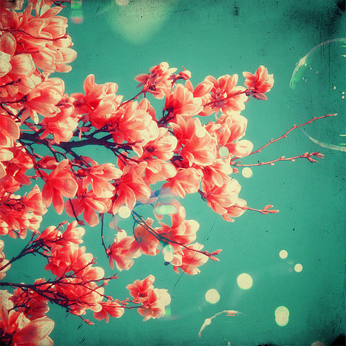 Conno Kalil x Featherhead - Breezy (Prod. FloFilz)