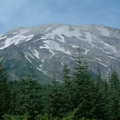 Out Here in the Woods- MEYER LANSKII (Ruff Mix) 2015 WGE 2015