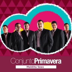 Conjunto Primavera Maldita Seas