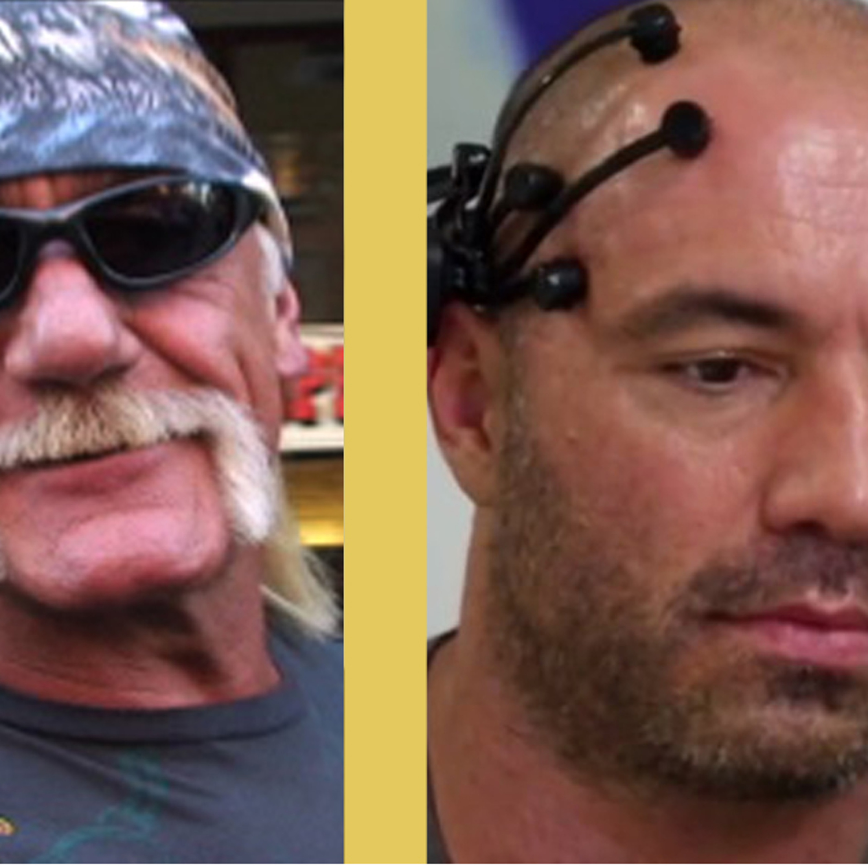 EPISODE 18 HULK HOGAN/JOE ROGAN episode artwork