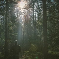 Intro   Hipfolkhop   Palabras Necias Para Oidos Sordos