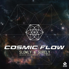 Cosmic Flow Vs Fender Bender - Slowly & Surely (X7M Rec.) SAMPLE
