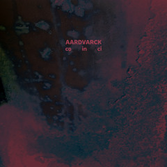 Aardvarck ''PAS'' (SKUDGE-PTLP01) Preview