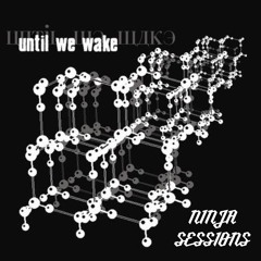 A New Song - Until We Wake