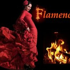 Terre Flamenco