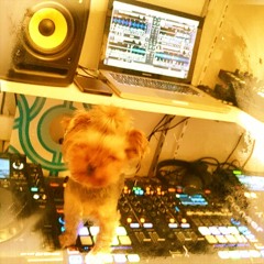 Dani-C Progressive Underdog 002 [August]