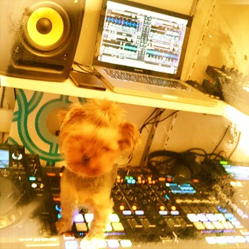 Dani-C Progressive Underdog 002 [August]