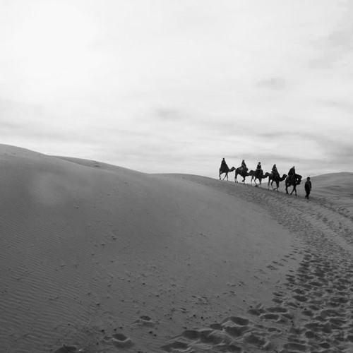 Lost In The Desert