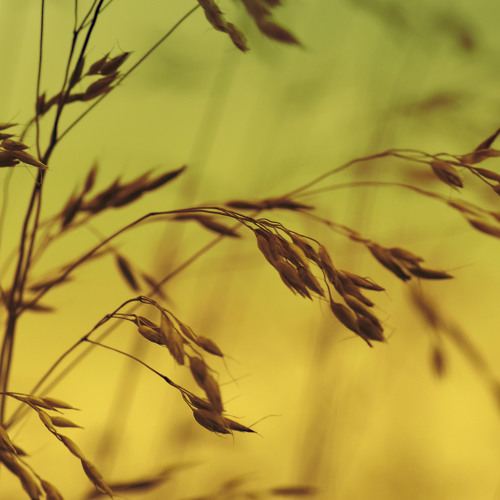 Ortella - Deep Afterhour Nr. 204