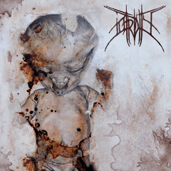 Repugnance Enshrined In Deformity