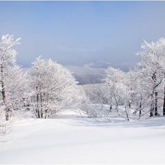 Dieter Werner - Zabaykalsky Krai, Winter 1917