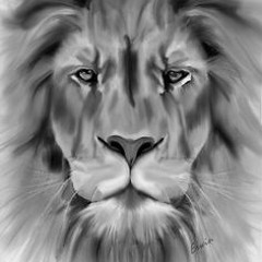 "The Lion" (Spoken Word Poem) [Video link in description]