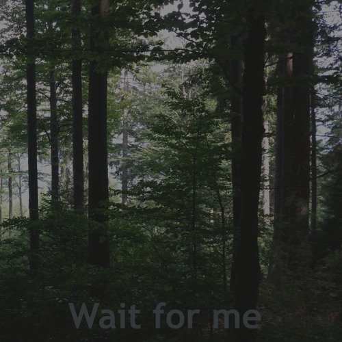 Wait for me