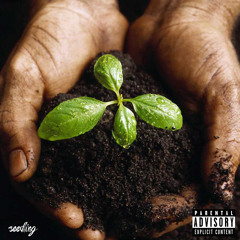 Heze, Mehlek of Arcitek Lordz - SEEDLING (Prod by Arcitek Lordz)