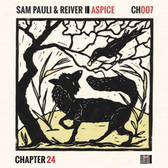 Sam Pauli & Reiver - Aspice {KatrinKa Edition}
