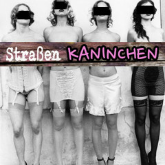 *** Straßen... KANINCHEN ***