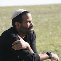 אודי דוידי מנעי קולך