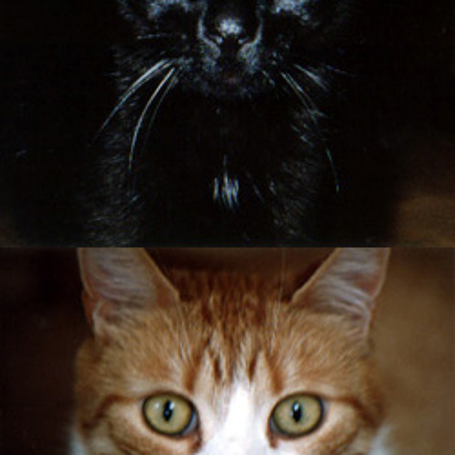 Mimi+Boyd  Hover + Pounce (Vapourspace Remix)