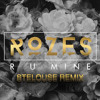 Descargar video: Rozes - R U MINE (SteLouse Remix) [Thissongissick.com Premiere] [Free Download]