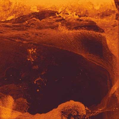 Fallen World - Prod. Mahxie