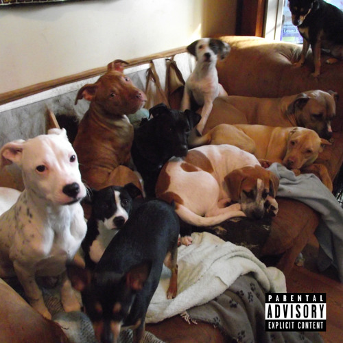 Bitches Everywhere (produced by Danny Swain)