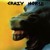 Artwork for Crazy Horse
