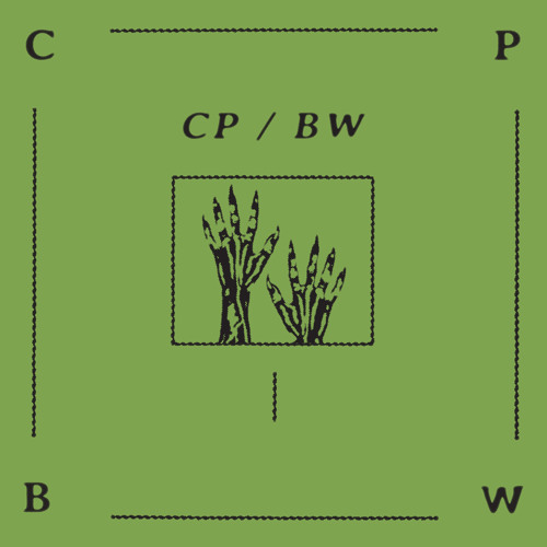 CP/BW (snippets)