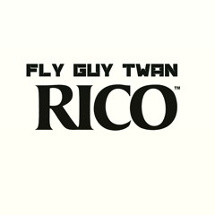 Fly Guy Twan - Rico