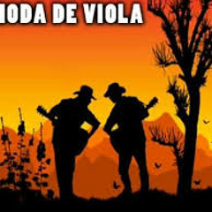 Advogado Honesto - Jo�o Mulato