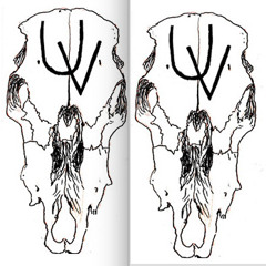 The 20 Dollar Vibrator