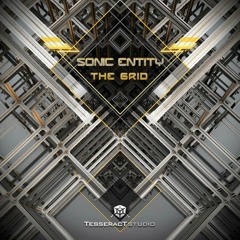 Sonic Entity -  The Grid SAMPLE