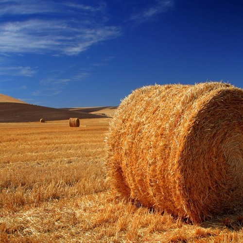 Nothing Left (James Carter Rem