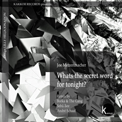 Joe Metzenmacher "Whats The Secret Word For Tonight?" (Original Mix)