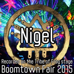 Nigel - Recorded on the Tribe of Frog stage at Boomtown 2015